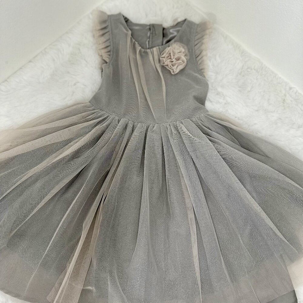 H&M Girls Gray Tulle Party Dress with Floral Accent - Picture 1 of 11